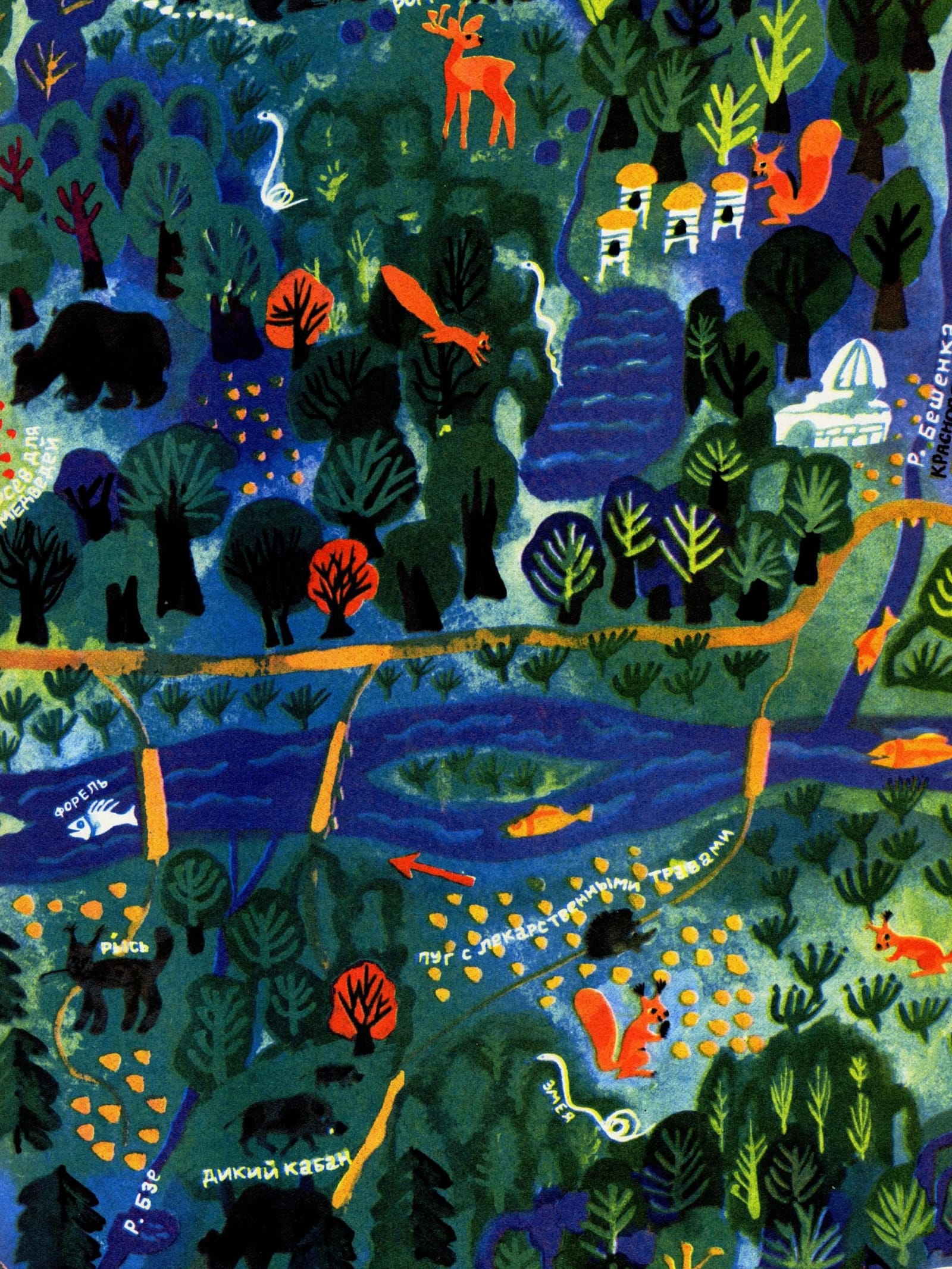 Environment page feature image