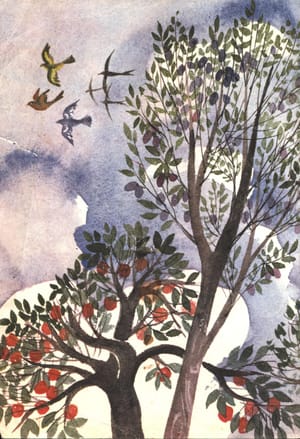 Chaparral ecosystems: How fires affect nitrogen & phosphorus cycling post feature image